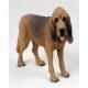 Bloodhound Figurine