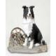 Border Collie - MyDog