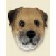 Border Terrier Doogie Head