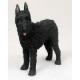 Bouvier Figurine, Cropped