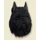 Brussels Griffon Doogie Head, Black