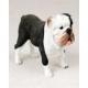 Bulldog Figurine, Brindle