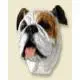 Bulldog Doogie Head, White
