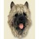 Cairn Terrier Doogie Head, Red