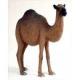 Camel Dromedary Figurine