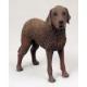 Chesapeake Bay Retriever Figurine