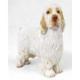 Clumber Spaniel Figurine