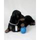 Dachshund Figurine, Black (MyDog)