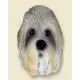 Dandie Dinmont Terrier Doogie Head