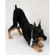 Doberman Figurine, Black (MyDog)