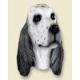 English Setter Doogie Head, Blue Belton