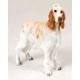 English Setter Figurine, Orange Belton