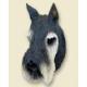 Giant Schnauzer Doogie Head, Gray