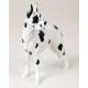 Great Dane Figurine, Harlequin