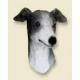 Greyhound Doogie Head, Gray