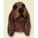 Irish Setter Doogie Head