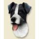 Jack Russell Terrier Doogie Head, Black and White Roughcoat