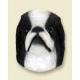 Japanese Chin Doogie Head, Black and White