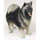 Keeshond Figurine