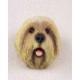 Lhasa Apso Doogie Head, Blonde Puppycut