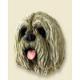 Lhasa Apso Doogie Head, Blonde