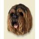 Lhasa Apso Doogie Head, Brown