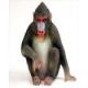 Mandrill Figurine