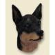 Miniature Pinscher Doogie Head, Black and Tan