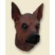 Miniature Pinscher Doogie Head, Red and Brown