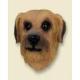 Norfolk Terrier Doogie Head