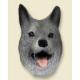 Norwegian Elkhound Doogie Head