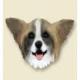 Papillon Doogie Head, Brown and White