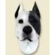 Pit Bull Terrier Doogie Head, White
