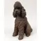 Poodle Figurine, Chocolate Sport Cut