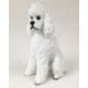 Poodle Figurine, White Sport Cut