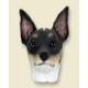 Rat Terrier Doogie Head