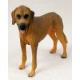 Rhodesian Ridgeback Figurine