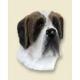 Saint Bernard Doogie Head, Smooth Coat