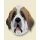 Saint Bernard Doogie Head, Rough Coat