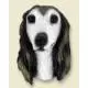 Saluki Doogie Head