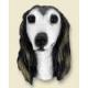 Saluki Doogie Head