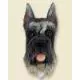 Schnauzer Doogie Head, Gray