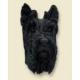 Scottish Terrier Doogie Head