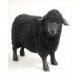 Sheep Figurine, Black (Black Sheep)