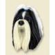 Shih Tzu Doogie Head, Black and White