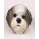 Shih Tzu Doogie Head, Mixed Puppycut