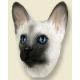 Siamese Cat Doogie Head