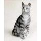 Tabby Cat Figurine, Silver