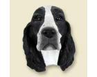 Springer Spaniel Doogie Head, Black