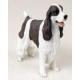 Springer Spaniel Figurine, Liver